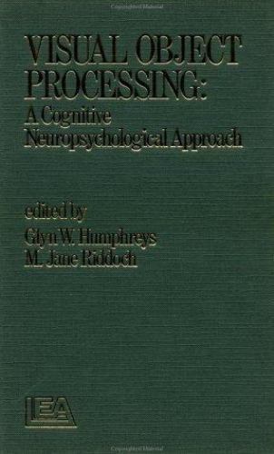 Visual object processing - object,