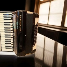 Hohner Akkordeon Favorit IV P 96 Bässe 4-chorig