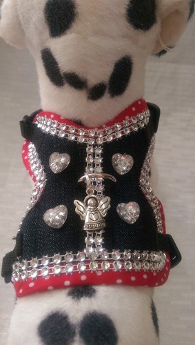 Hundegeschirr - , xs