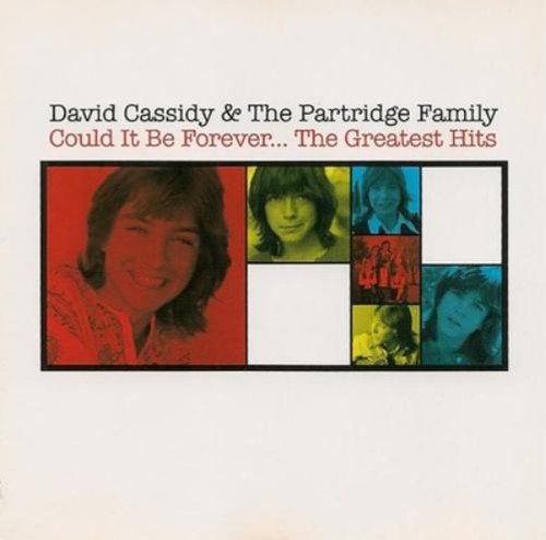 David cassidy could be - cassidy,