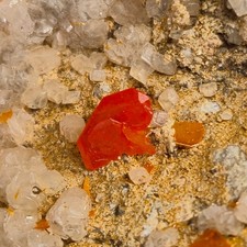 🔥Video🔥Top orange rote