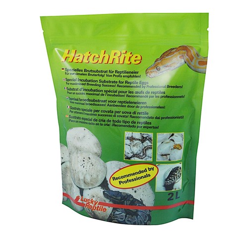 Lucky reptile hatchrite - reptile,