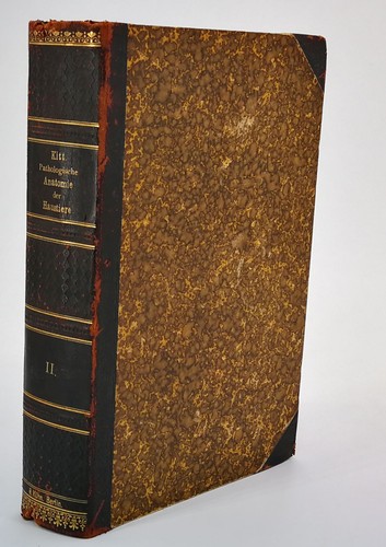 Kitt pathologische anatomie - kitt,