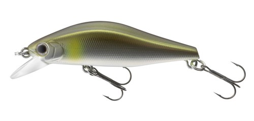 Daiwa tournament wise - daiwa,