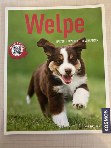 Welpe buch halten erziehen - welpe,