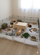 XXL Meerschweinchenhaus