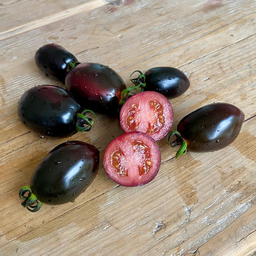 Tomate blue marzano 10 - tomate, ·