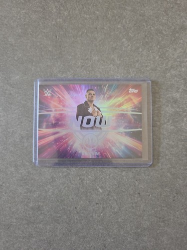 Wwe topps universe case - topps, hit