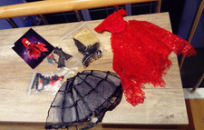 Tonner Wilde Imagination Evangeline Ghastly Whine And Roses Outfit