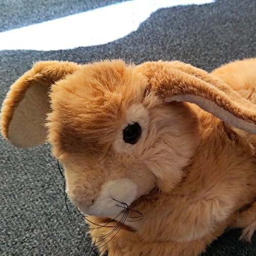 Steiff hase stoff - hase, stoff-