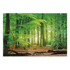 Vliesdruck Tapete Vlies Wand