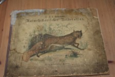 Reichenbachs Naturhistorischer