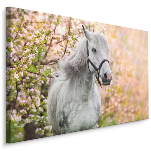 Canvas leinwand bilder xxl - bilder,