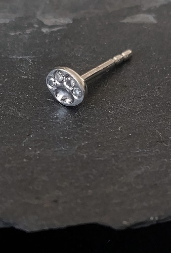 Single ohrstecker pfote - ohrstecker,
