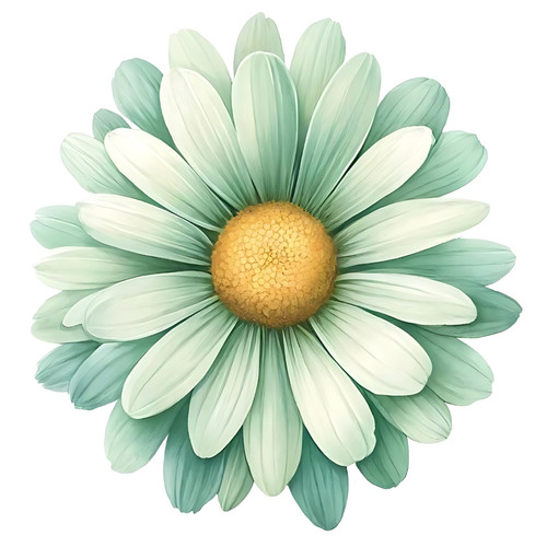 Gänseblümchen blume floral - gänseblümchen,