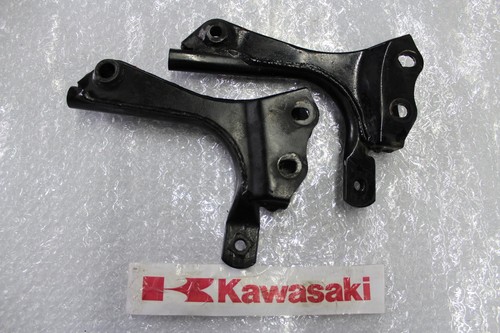 Kawasaki 250 halter - b,