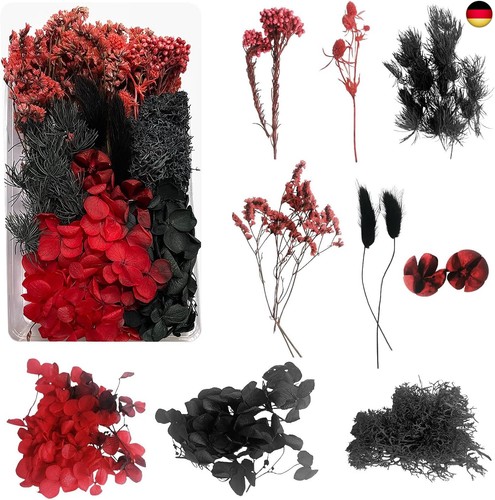 trockenblumen