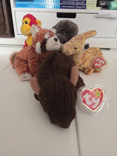 Beanie babys paket - ty,