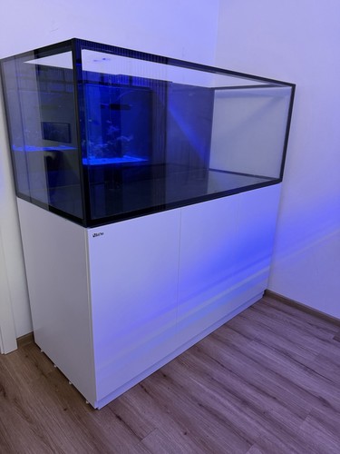 Red sea reefer - sea,