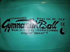 Sitzball Pezzi Ball Gymnastikball Standard Reha Functional Training grün 65 cm