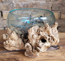 Deko Glas auf Teak Holz Wurzel