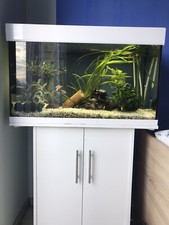 Aquarium Komplett Set 126l