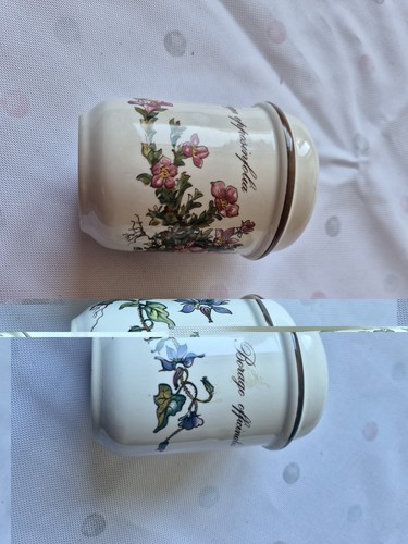 Villeroy boch botanica salz - &,