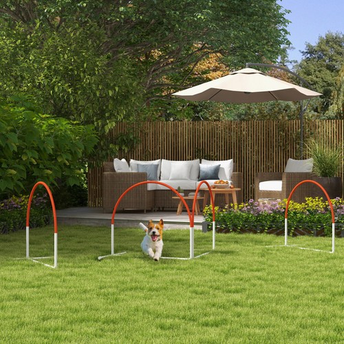 Hunde agility set 4er - agility, set,