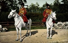 Ak Russische Krieger zu