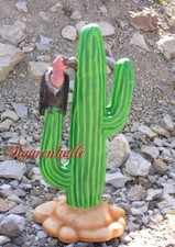 Indianer Kaktus Carnegiea