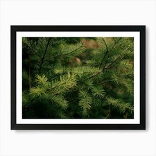 Kiefer Details Kunstdruck