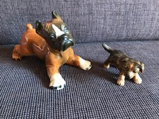 Welpen - (boxer, terrier??)