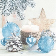 20 Servietten Winter Romance