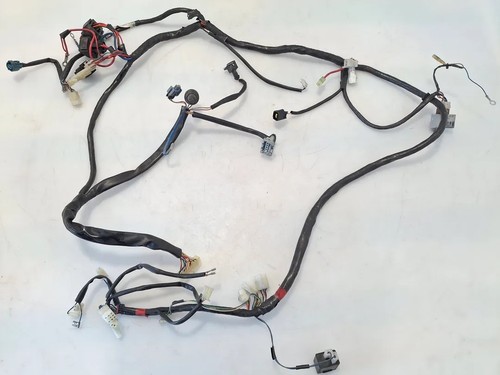 Kabelbaum elektrik rahmen - kabelbaum,