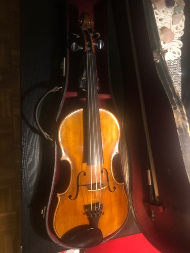 Geige violine generalüberholt - violine,