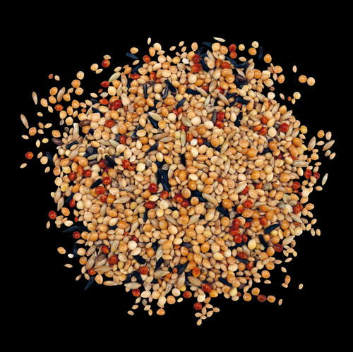 Exotenfutter top kg - exotenfutter,