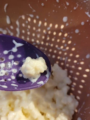 Echter bio milchkefir - bio,