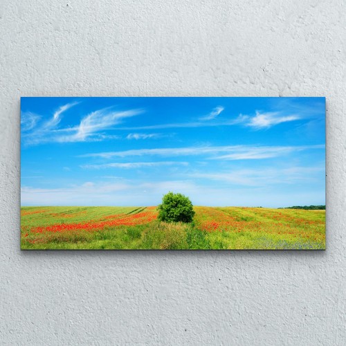 Glasbilder wandbild druck auf - wandbild,