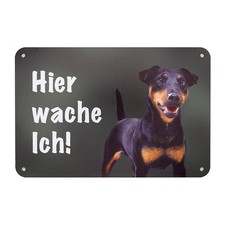 Deutscher Jagdterrier