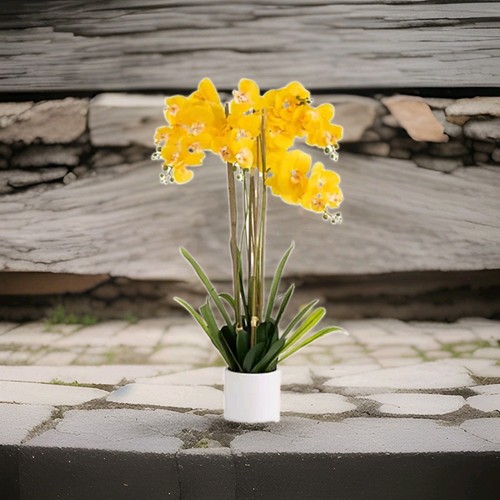 Künstliche phalaenopsis - künstliche,
