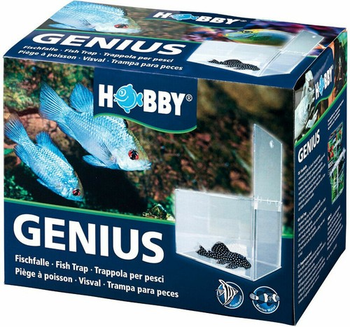 Hobby genius fischfalle - hobby,