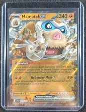 Pokemon Reisegefährten -