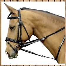 Thiedemann Kombination Natural