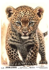 Reispapier A4 Strohseide Decoupage Serviertentechnik Leoparden-Baby RE1411