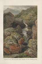 Flechten Steinblöcke Moräne