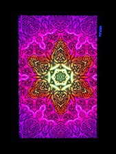 PSYWORK Schwarzlicht