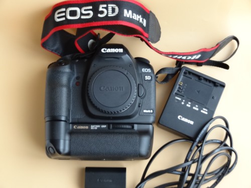 Canon eos mark - canon,