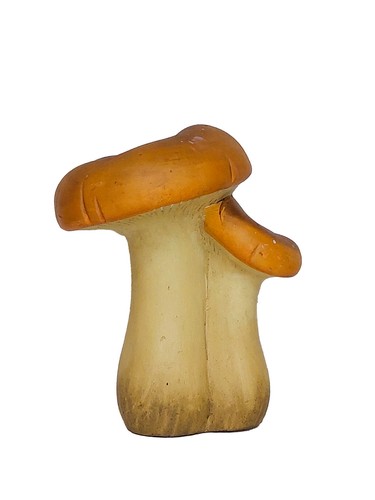 Herbst deko pilze pilz - pilze,