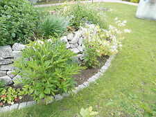 Bruchsteine 10/25 cm Granitbruch Gabionen Gabionensteine Granit 164