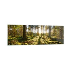 Wandbilder 160x50cm Glasbild